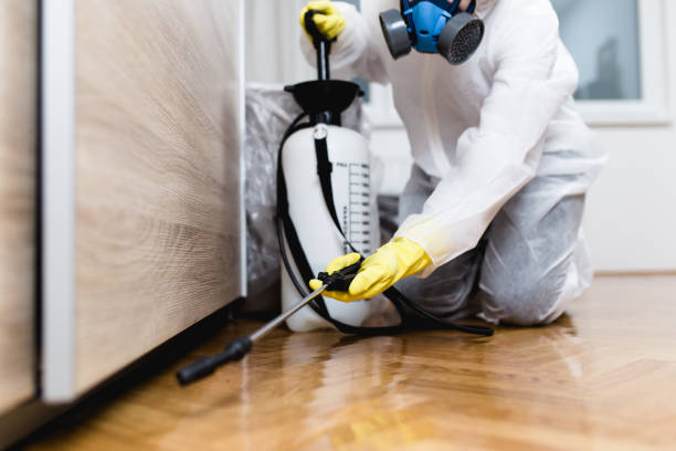 Best Best Pest Control Companies  in Cisco, TX